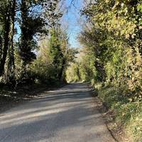 Walk down Long River Road. There is no footpath so face the direction of travel on the right hand side.