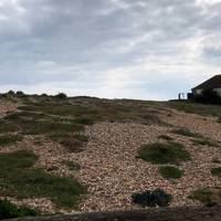 Up and over the pebbly dunes if you want to walk along the beach. If not, it’s a quiet path parallel to the sea.  