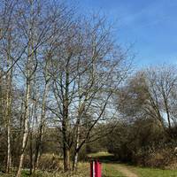 The path here is narrow with compacted earth and stone.