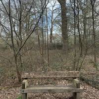 There are plenty of benches and seats throughout the trail to stop and rest and enjoy the wildlife.