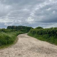Continue until a t-junction, where you turn left down an ancient track.
