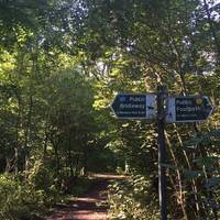 When you get a fork in the path, just follow the sign for the bridleway...