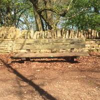 You can sit here for a while in silence listening to the sounds of birdsong that surround you and maybe noticing the smell of wild garlic.