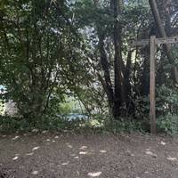 You’ll see the river through the trees and a signpost for the Thames Path. Turn left towards Swinford Bridge.