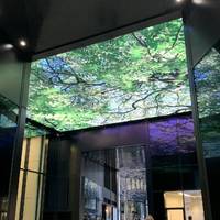 Turn right under the building and look out for the huge stunning ceiling video panel.
