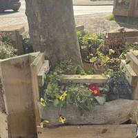 New planters have been installed and are a riot of colour in Spring and Summer.