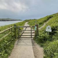 Head through the gate and go straight ahead.