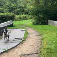 Cross the bridge at Compton Lock