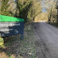 Enter Nightingale Wood and head along the track to the car park.