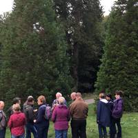 There are walking tours and guides available, be sure to check the Bedgebury website for more information. 