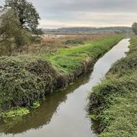 Pause on the bridge for some great views across the south of the reserve, home to otters, kingfishers, bitterns and water voles.