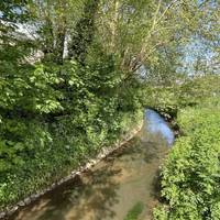 The sun was illuminating the spring foliage when we created the route. How does the riverside look different when you walk?