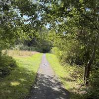 Follow the path through green grassy verges either side.