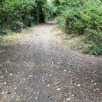 Once you reach the end of this path after the park, turn left.
