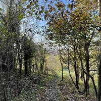 Heading downhill, follow the path to the left as you enter Stockwood Open Space Nature Reserve.