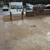 Starting at the car park on Victoria Road. This is a national trust car park. Free for NT member - £9 all day parking.