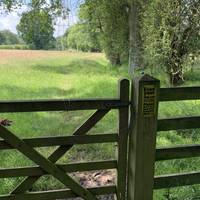 Cross a stream and head through the gate into this field.