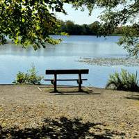 On this anticlockwise route there are lovely lakeside views with lots of seating to enjoy views as you walk around.