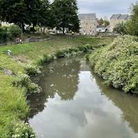We've known people to spot otters along here! So always keep your eyes peeled.