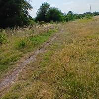 Just before reaching the woodland turn right and follow the path
