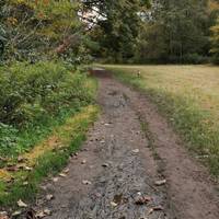 In places, the path is muddy. The McBride's factory is to your right, the site of the old Irkdale Bleachworks.