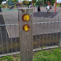 Beside the playground listen to the children playing. Can you hear any other noises? Use a stick on the railings, feel the vibrations.