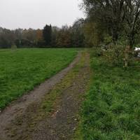 Almost immediately, turn right on the stony path with a ridge of grass in the middle.