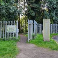 The woods offer a peaceful escape with a network of winding paths through nature beech, oak and Scots pine trees.