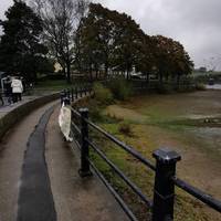 Walk along the level hard-surfaced lakeshore path. There is a metal railing to the right & low wall to the left.