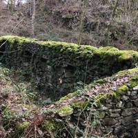 The walls of these ruined outbuildings are now heavily overgrown with a rich layer of mosses and ferns