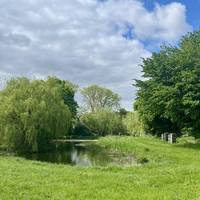 Turn left as you reach a picturesque pond and apiary, and follow the winding footpath over a bridge and through a copse.