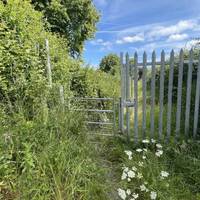 Head through the metal kissing gate.