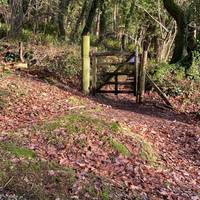 Through the gate to Woodcombe