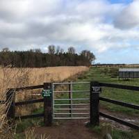 Cross the coast road and go through the gate. Along a field skirted by woodland.