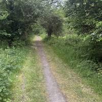 The path is a grassy track in this section. It’s still noisy with traffic and planes.