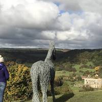 You can park up in the National Trust, Rievaulx Terrace which has great views of the Abbey and the valley.