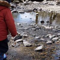 There's good access to safe shallows if your little one likes stomping in streams 