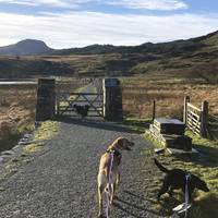 Soon you will reach a paved causeway alongside the lake. This was once a tramway bed, for carrying slate away from the quarries ahead of you