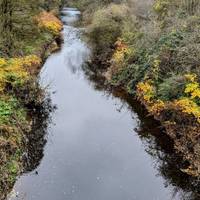 There are fine views both ways from the bridge over the tree-lined Valley.