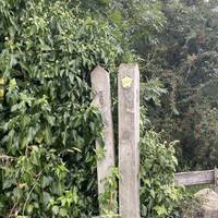 On the right hand side, follow the signs for the public footpath. Look out for the stile.
