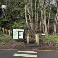 Cross over at the zebra crossing and go through the gate to Wharton Park.