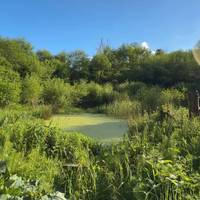 Take a breather at this stunning pond about half way up the walk. I’ve sat here for hours and have spotted herons, frogs and foxes.
