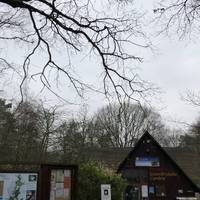 There is paid parking at the Thorndon Country Park visitor centre. Head in to pick up a 🗺 for 50p - this supports the Essex Wildlife Trust