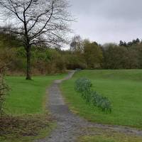 Keep walking straight along the path. Look out for the daffodils in spring on the right of the path and stop to listen to the bird calls