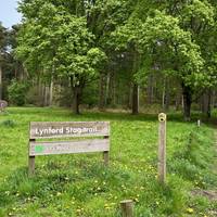 Welcome to this short, circular walk around Lynford Stag.