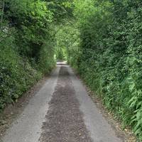 Continue with caution along this country lane as there is no footpath here. You’ll be heading uphill.