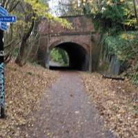 Carry on under the bridge and through the gate where you will emerge in Summerfield Park.