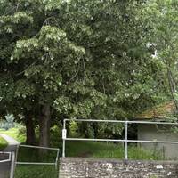 Pick up the public footpath that follows the river