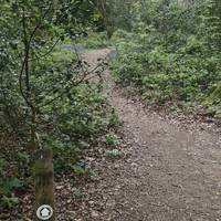 Once inside  take the very first footpath on your left....