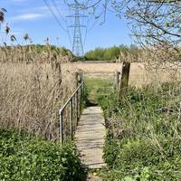 Cross the little bridge and keep going.